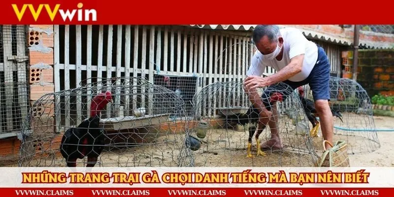Những trang trại nổi danh hiện nay