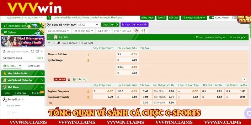Tổng thể về sảnh thể thao C-Sports
